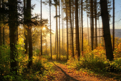 Tai chi, koncerty i kiermasz. Łodzianie szykują się na wielkie wydarzenie